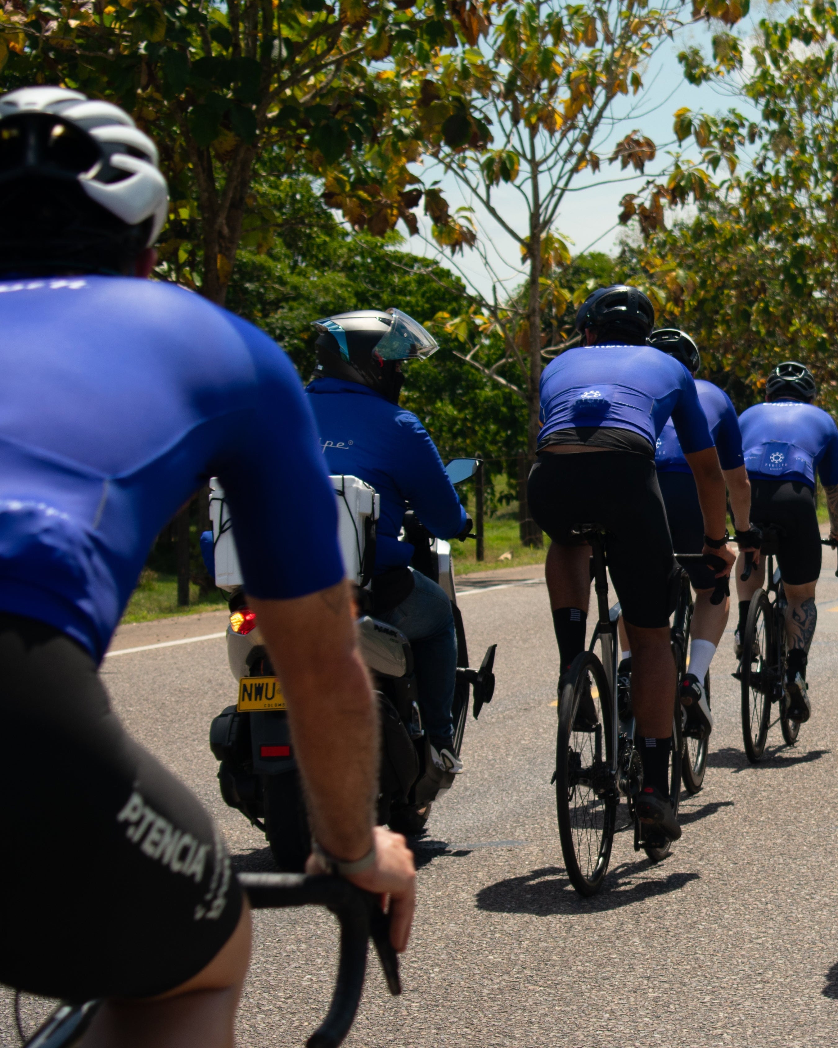 Group of cyclists in blue jerseys riding on a road with trees on both sides.