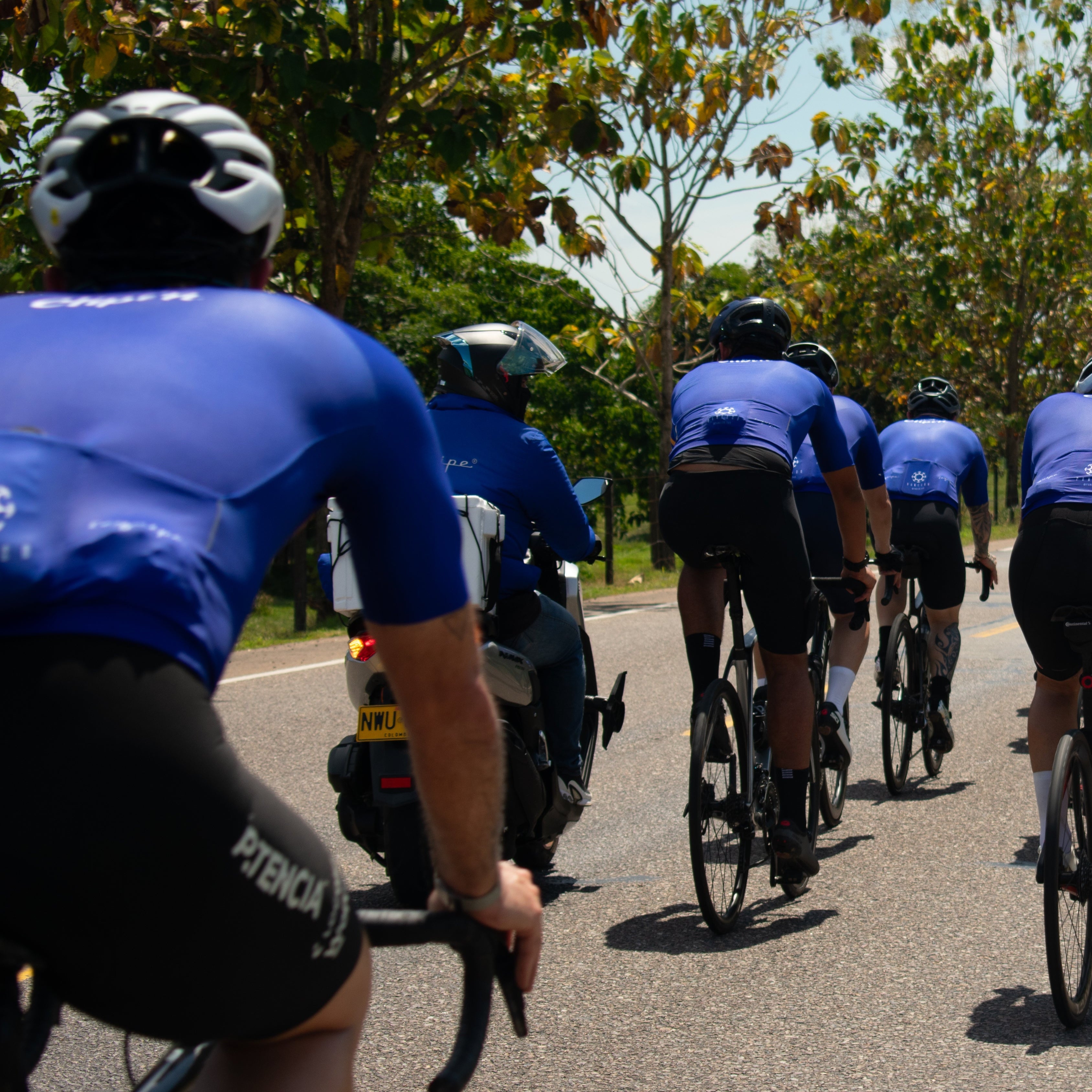 Group of cyclists in blue jerseys riding on a road with trees on both sides.